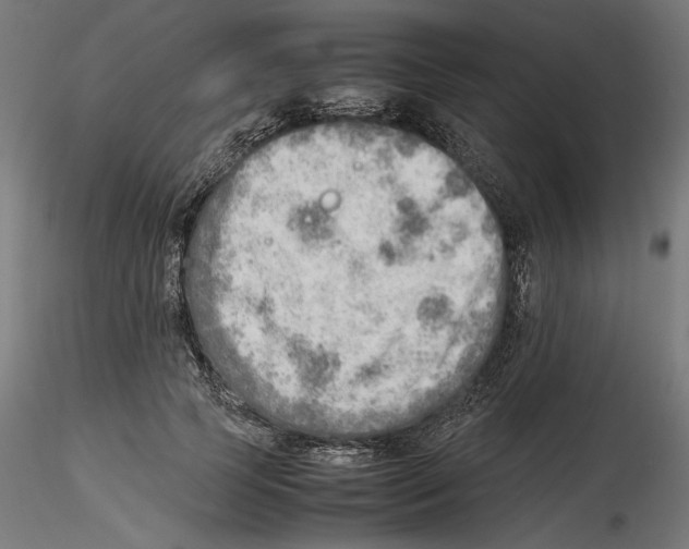 X0000116460745201001061038