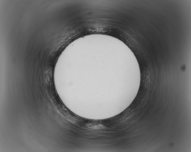 X0000116460747201001061038