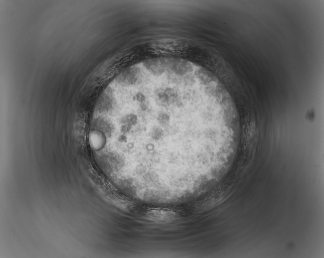 X0000116460749201001061038