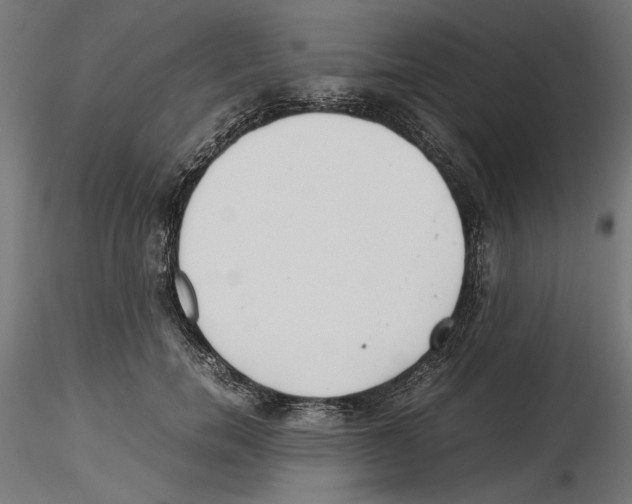 X0000116460750201001061038