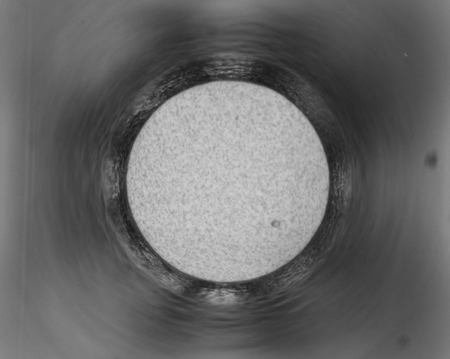 X0000116460751201001061038