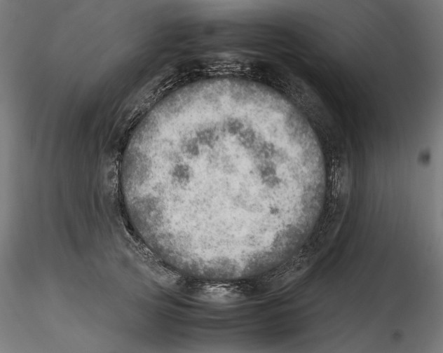 X0000116460753201001061038