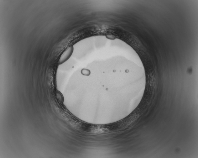 X0000116460754201001061038