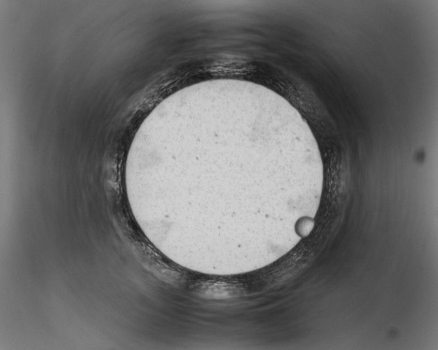 X0000116460755201001061038