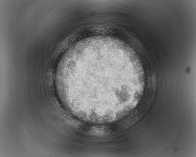 X0000116460757201001061038