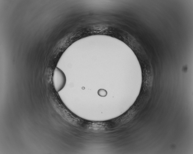 X0000116460758201001061038