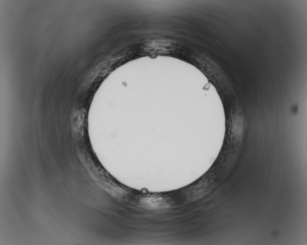 X0000116460759201001061038