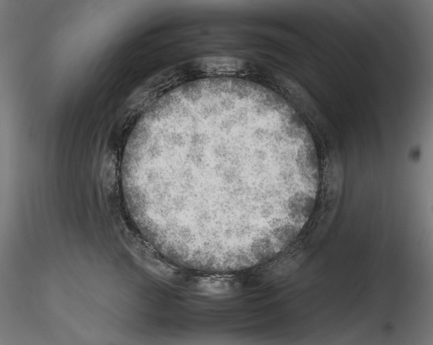 X0000116460761201001061038