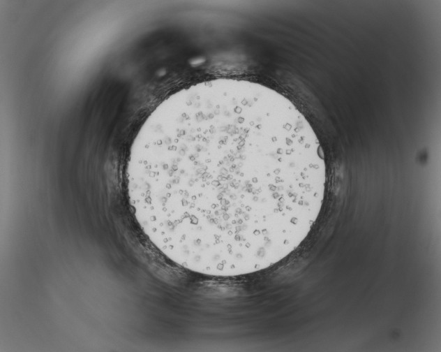 X0000116460763201001061038