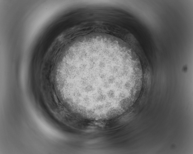 X0000116460765201001061038