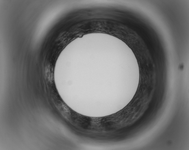 X0000116460766201001061038