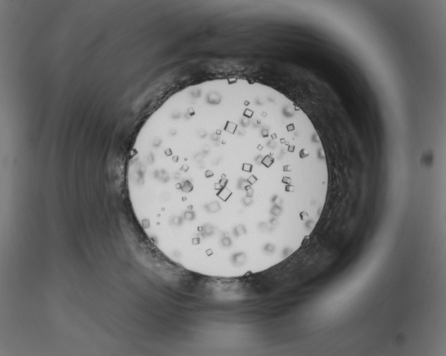 X0000116460767201001061038