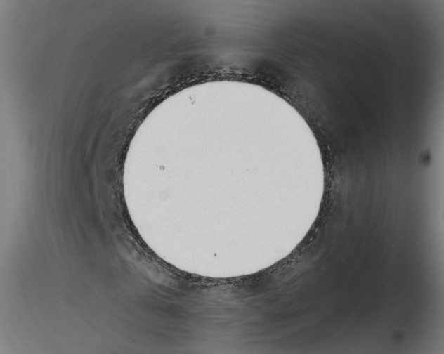 X0000116460769201001061037