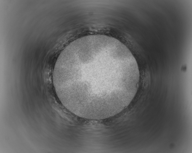 X0000116460770201001061037