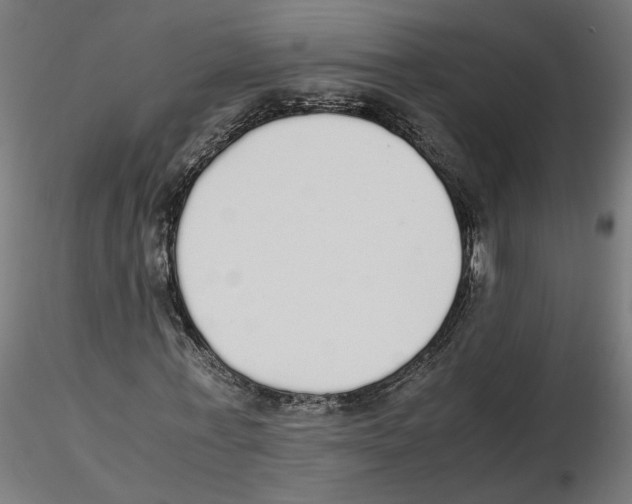 X0000116460771201001061037