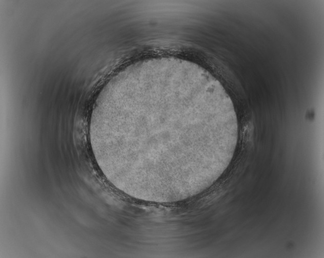 X0000116460772201001061037