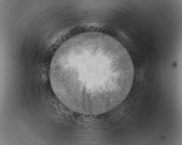 X0000116460774201001061037