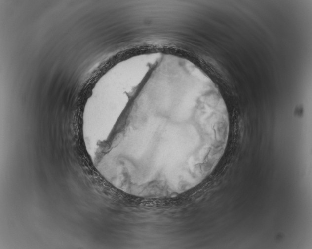 X0000116460776201001061037