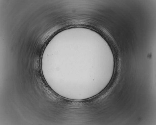 X0000116460777201001061037