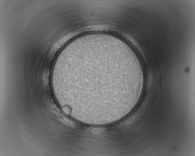 X0000116460778201001061037