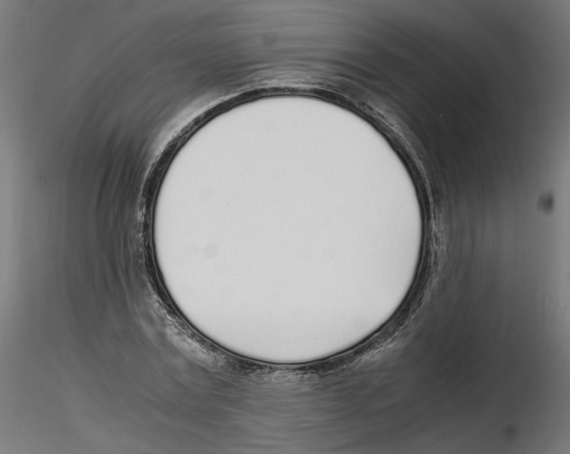 X0000116460779201001061037