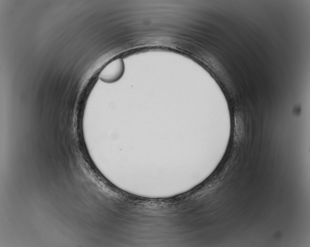 X0000116460780201001061037