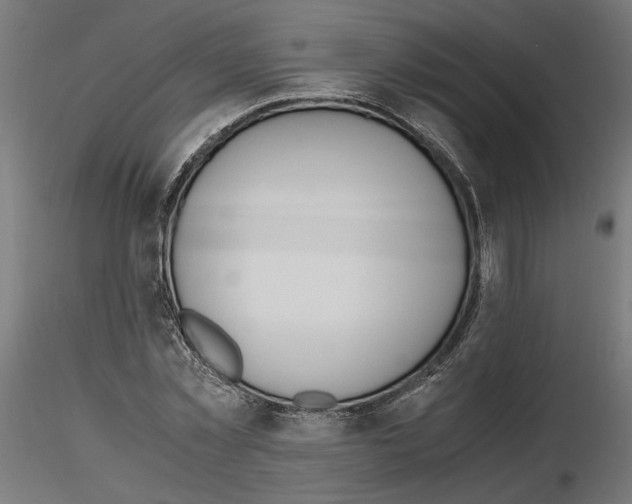 X0000116460781201001061037