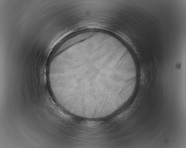 X0000116460782201001061037