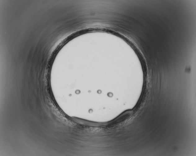 X0000116460783201001061037
