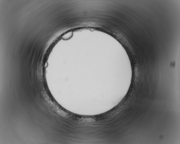 X0000116460784201001061037