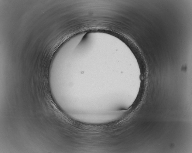 X0000116460785201001061037