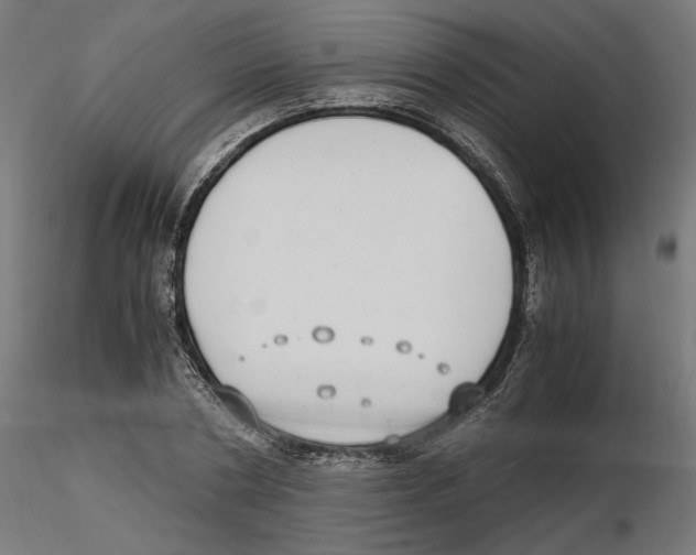 X0000116460786201001061037
