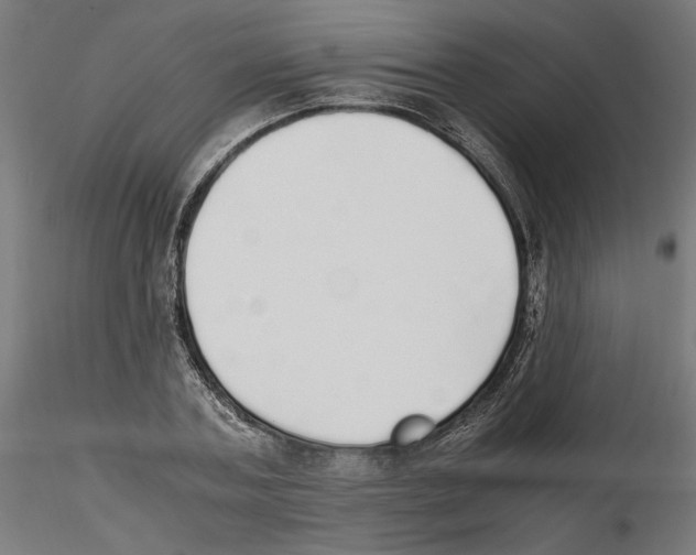 X0000116460787201001061037