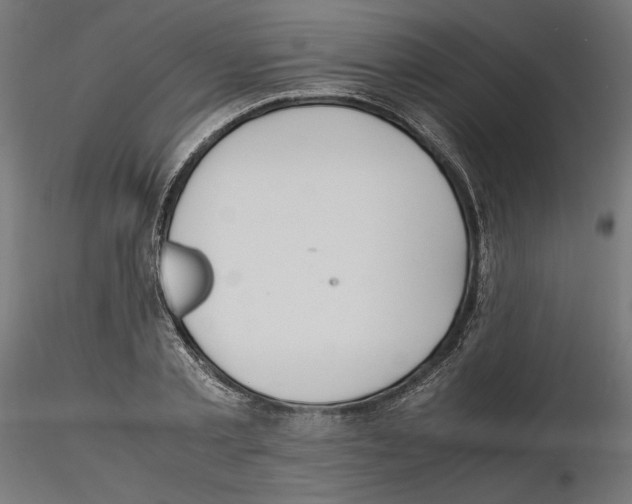 X0000116460789201001061037