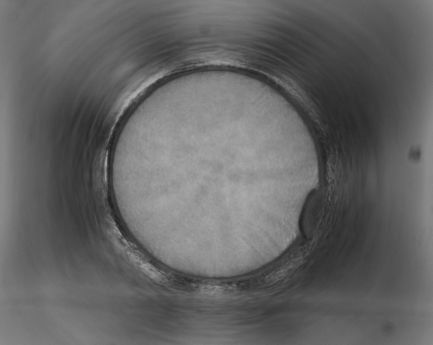 X0000116460790201001061037