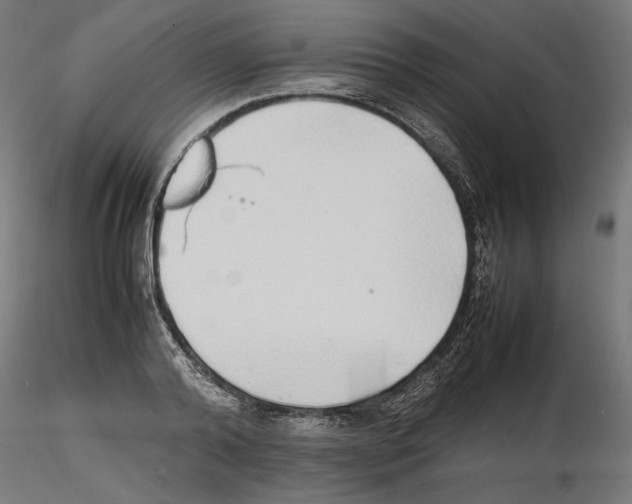 X0000116460792201001061037