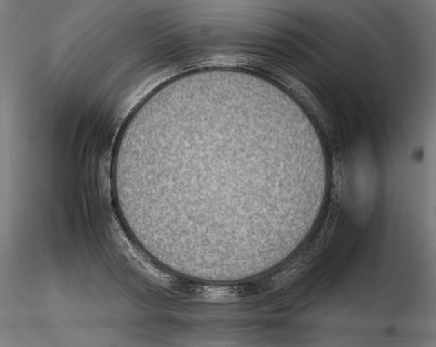 X0000116460794201001061037