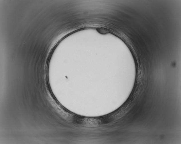 X0000116460795201001061037