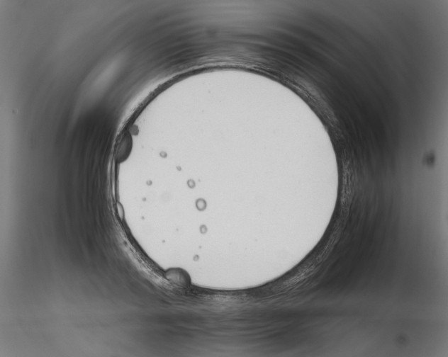 X0000116460796201001061037