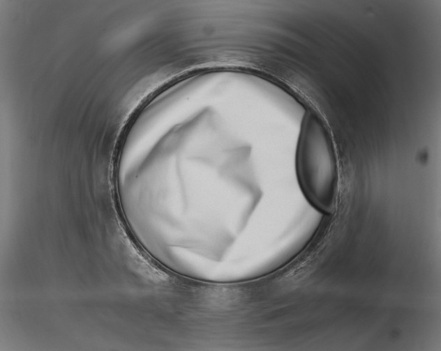 X0000116460797201001061037