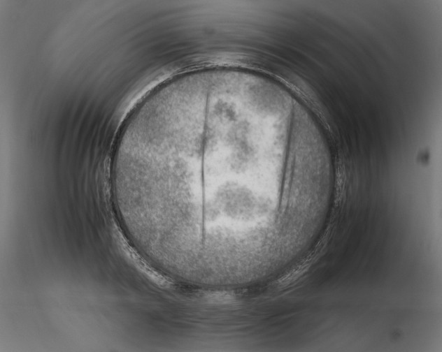 X0000116460798201001061037