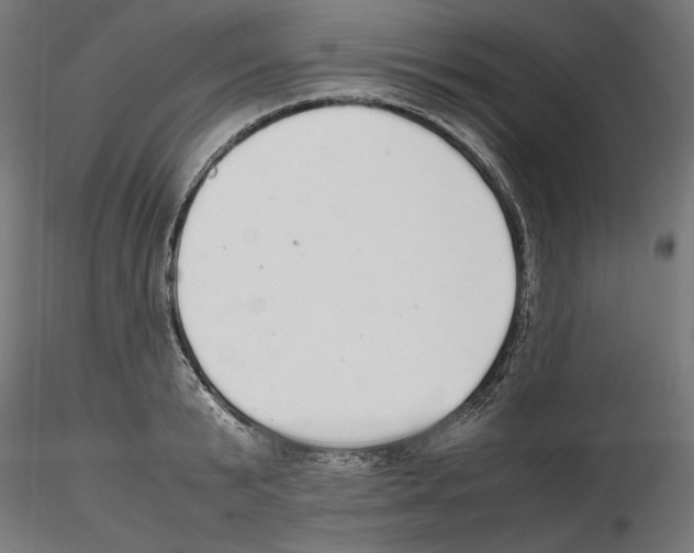 X0000116460799201001061037