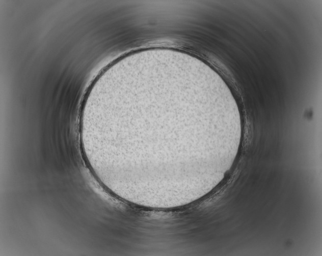 X0000116460800201001061037