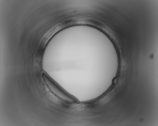 X0000116460801201001061037