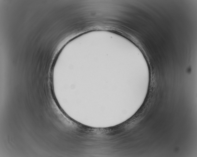 X0000116460803201001061037