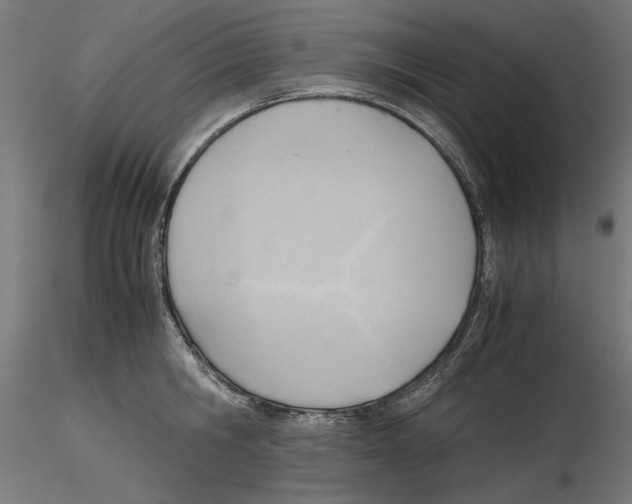 X0000116460806201001061037