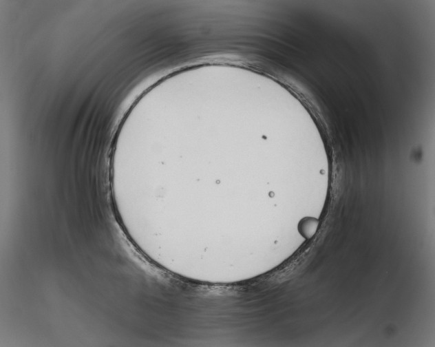 X0000116460808201001061037