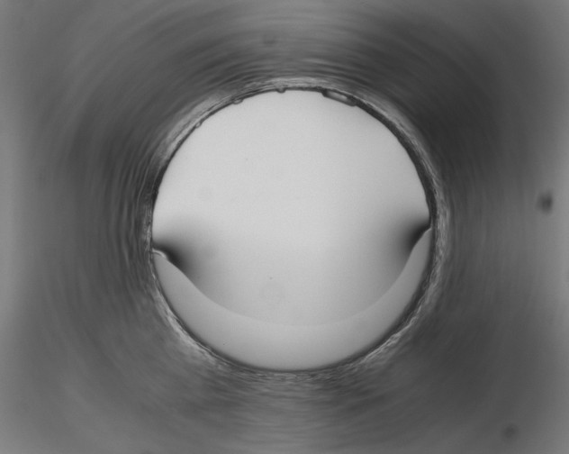 X0000116460809201001061037