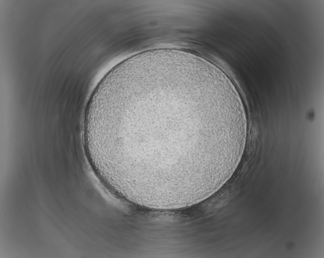 X0000116460811201001061037