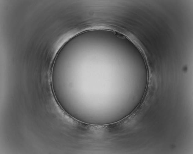 X0000116460813201001061037